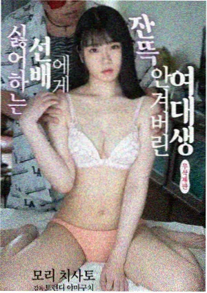 迷雾追踪 天天影院在线观看免费高清电视剧